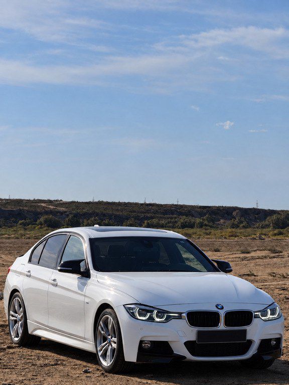 BMW 320, 2.0 L, 2017 il, 154 800 km — Avtomobillər, Bakı (4)
