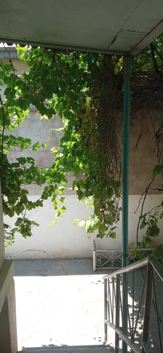 İcarəyə verilir 5 otaqlı həyət evi/bağ evi 220 m² — Ev, villa, Bakı (5)