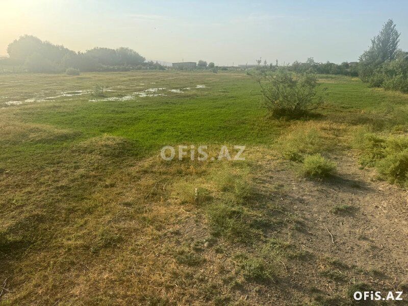Torpaq Satılır Sumqayıt, 200 sot torpaq sahəsi, Sumqayıt ş, 200 sot — Torpaq, Sumqayıt (6)
