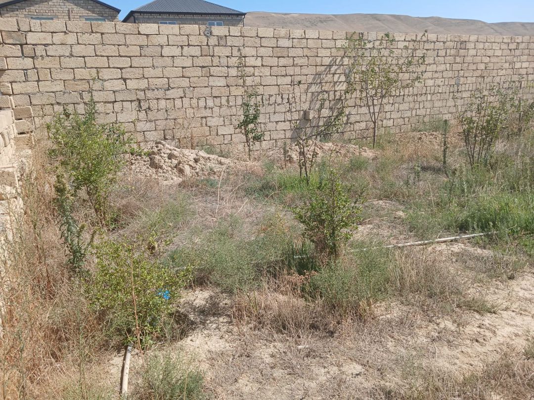 2 sot torpaq sahəsi, Qobu qəs — Torpaq, Bakı (8)