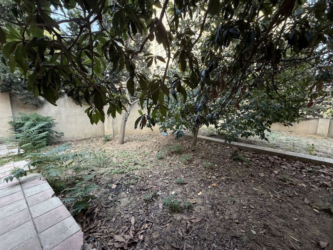 Satılır 8 otaqlı həyət evi/bağ evi 300 m² — Ev, villa, Bakı (7)