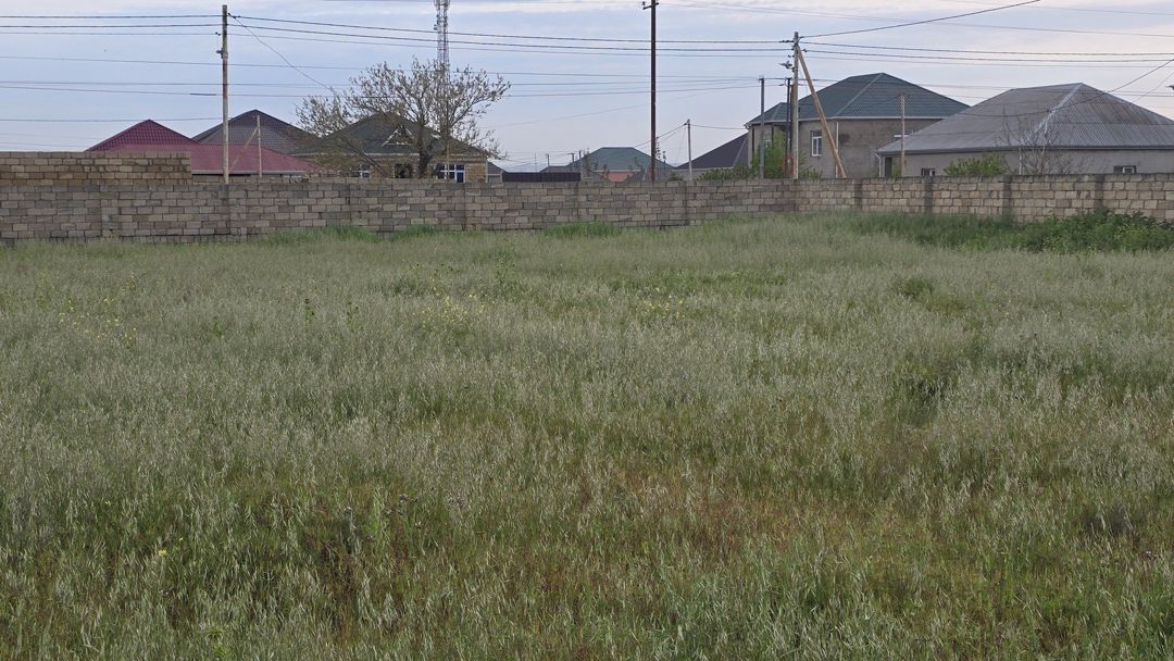 Satılır torpaq 25 sot — Torpaq, Bakı (4)
