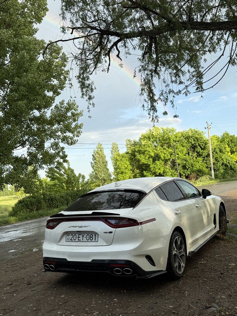 Kia Stinger, 2.0 L, 2020 il, 196 340 km 20-EY-081 — Avtomobillər, Ağdam (4)