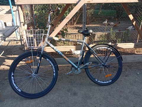 Velosiped — Masallı