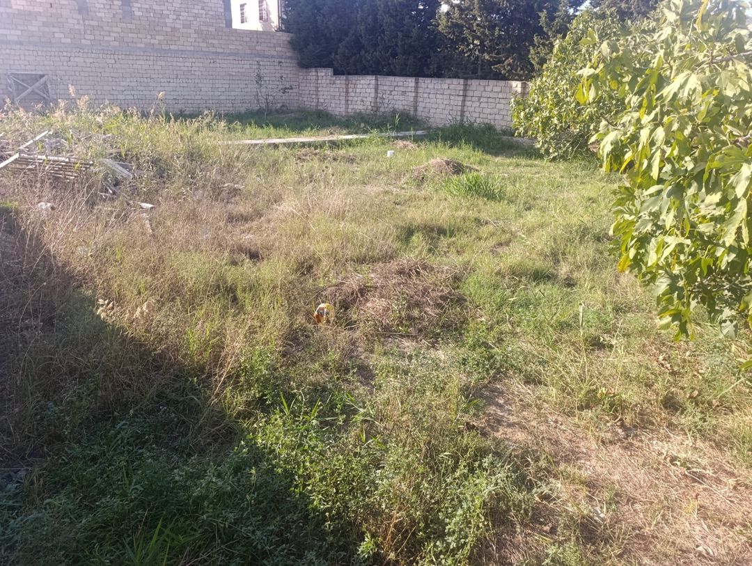 Satılır torpaq 5.6 sot — Torpaq, Bakı (2)