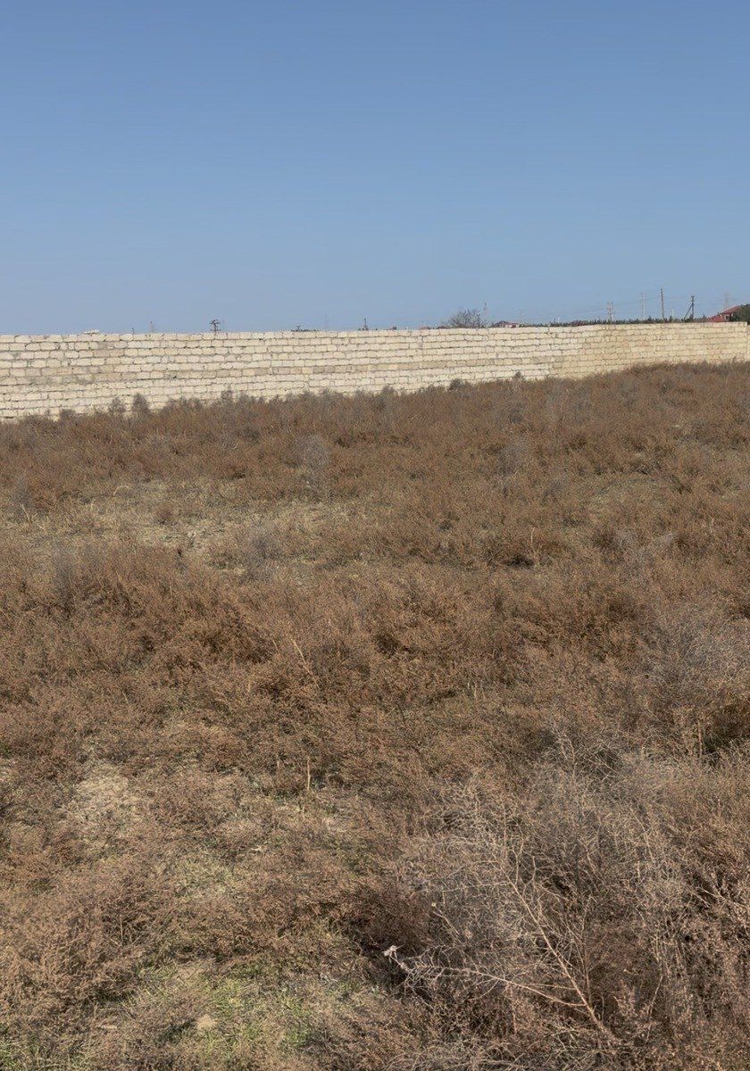 Satılır torpaq 20 sot — Torpaq, Bakı (4)