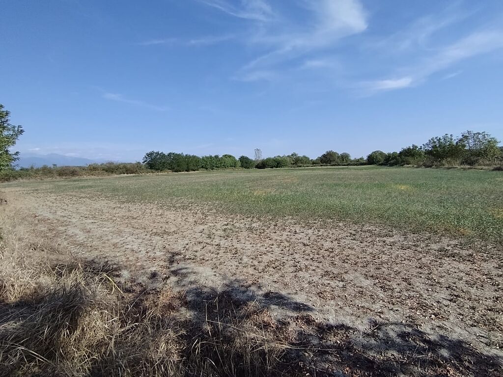 Kənd təsərrüfatı — Torpaq, Qəbələ (2)