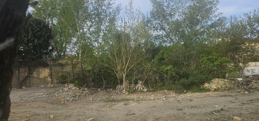 Satılır torpaq 370 sot — Torpaq, Bakı (7)