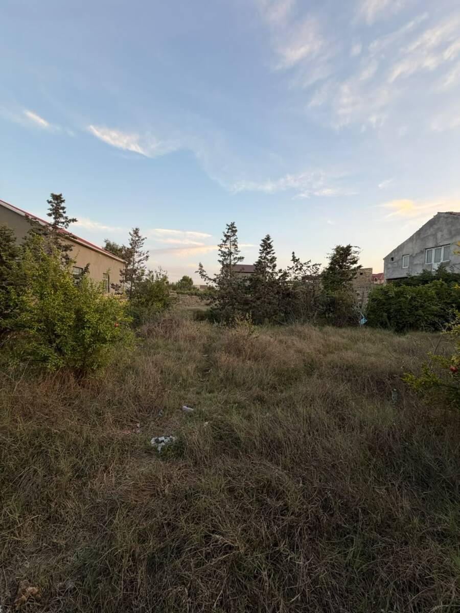 Satılır torpaq 10 sot — Torpaq, Bakı (2)