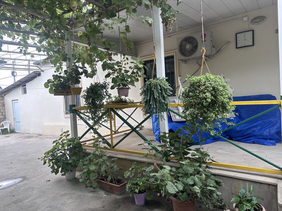 Satılır 4 otaqlı həyət evi/bağ evi 110 m² — Ev, villa, Bakı (4)