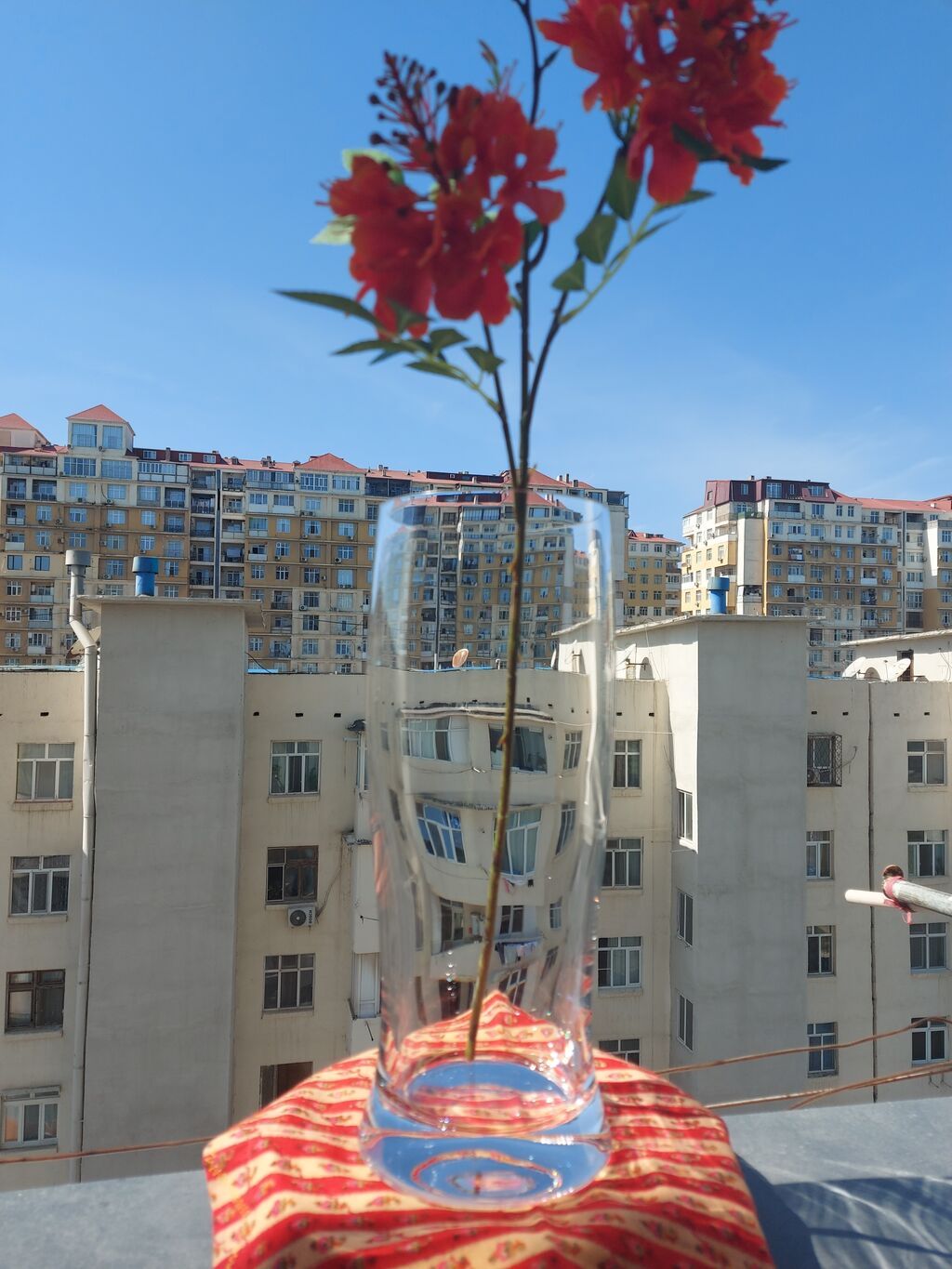 Bir vaza, Bogem şüşəsi — Vaazalar, kreslolar, süni çiçəklər, Bakı (2)