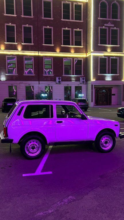 Lada (VAZ) Niva, 1.7 L, 2010 il, 200 000 km 99-UP-631 — Avtomobillər, Gəncə (6)