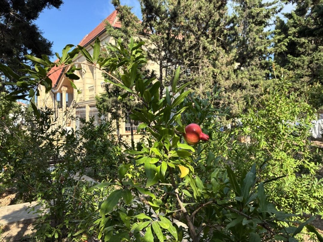 Satılır 12 otaqlı həyət evi/bağ evi 2100 m² — Ev, villa, Bakı (12)