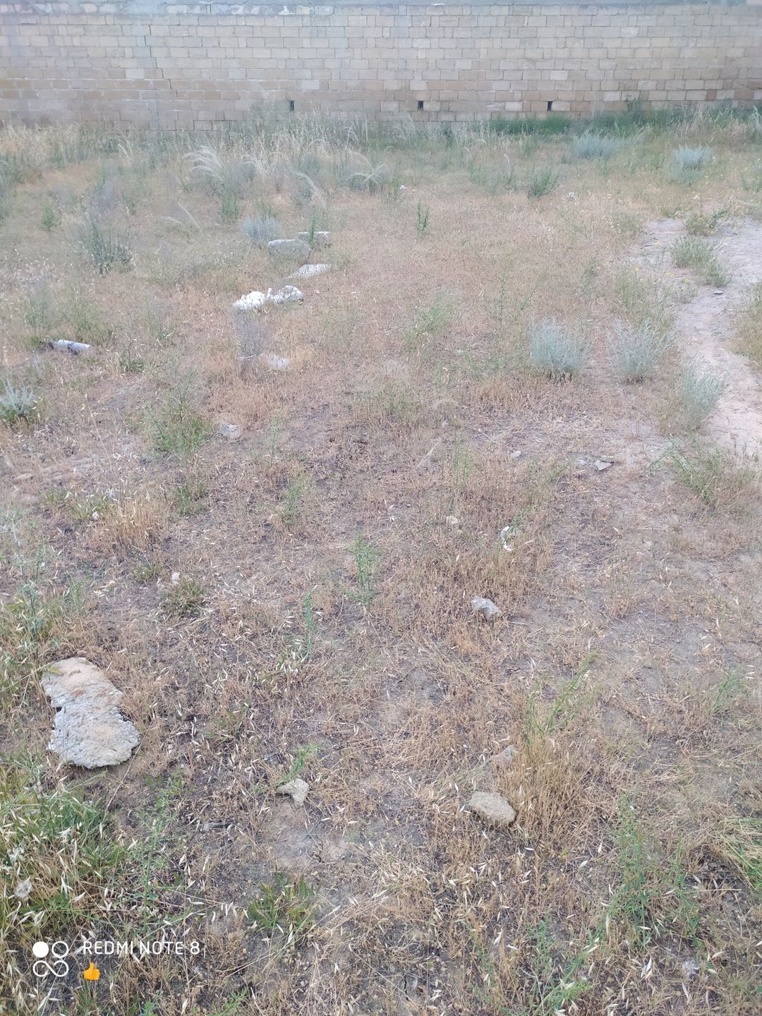 Satılır torpaq 100 sot — Torpaq, Bakı (4)