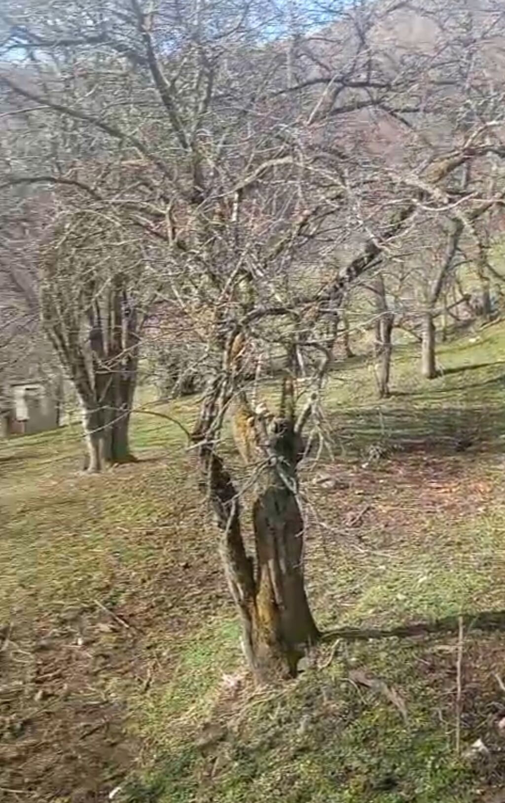 Dağ kəndində yerləşən həyətyanı torpaq sahəsi və köhnə tikili — Ev, villa, Digah (3)