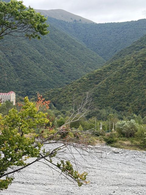 Həyət evi, Şəki ş — Şəki