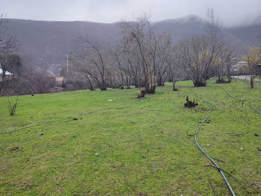 Satılır 3 otaqlı həyət evi/bağ evi 80 m² — Ev, villa, Şəki (2)