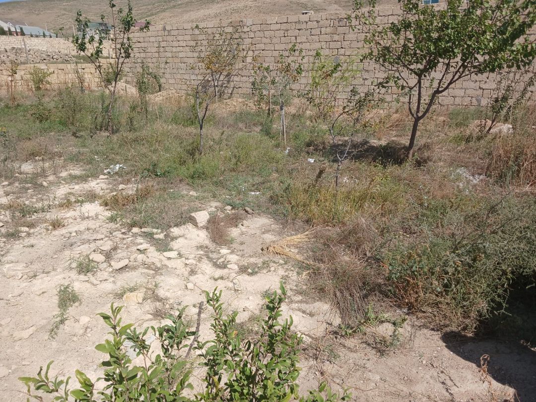 2 sot torpaq sahəsi, Qobu qəs — Torpaq, Bakı (4)
