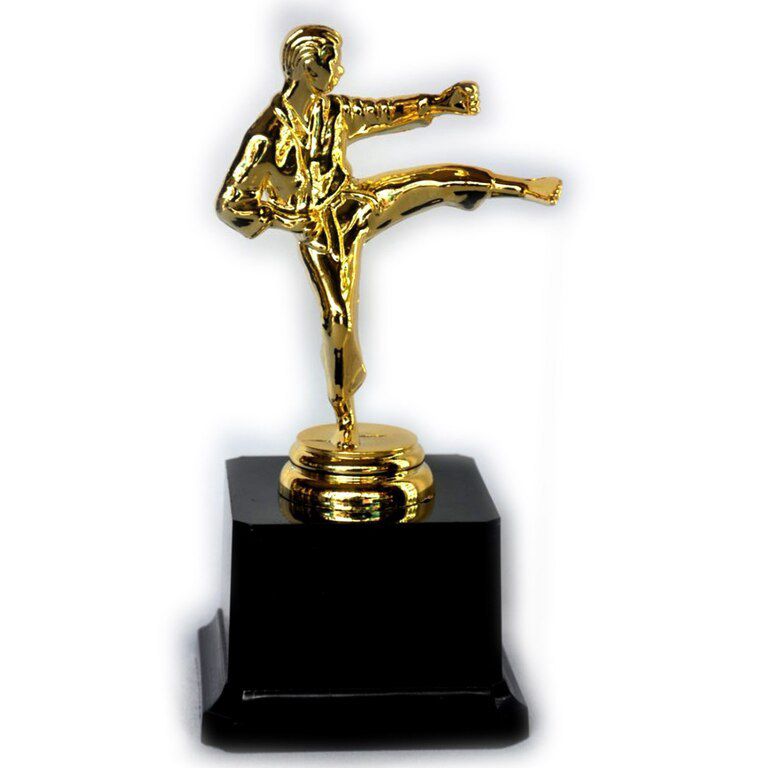 Qızılı karate suveniri — Dekor və interyeri, Bakı (11)