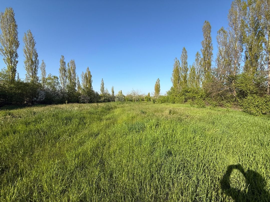 3 sot torpaq sahəsi, Qusar r — Torpaq, Qusar