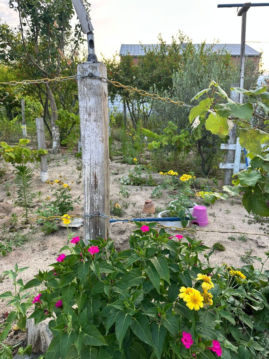 Satılır torpaq 4 sot — Torpaq, Bakı (12)