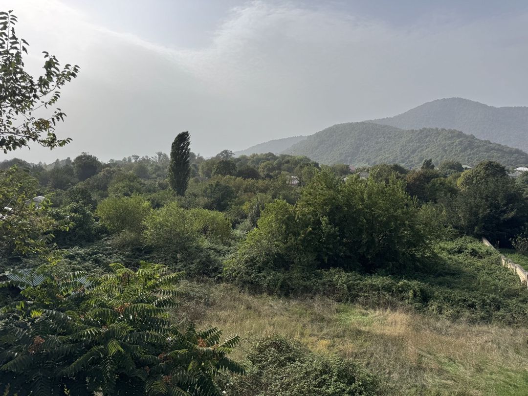 Satılır torpaq 32 sot — Torpaq, Zaqatala (9)
