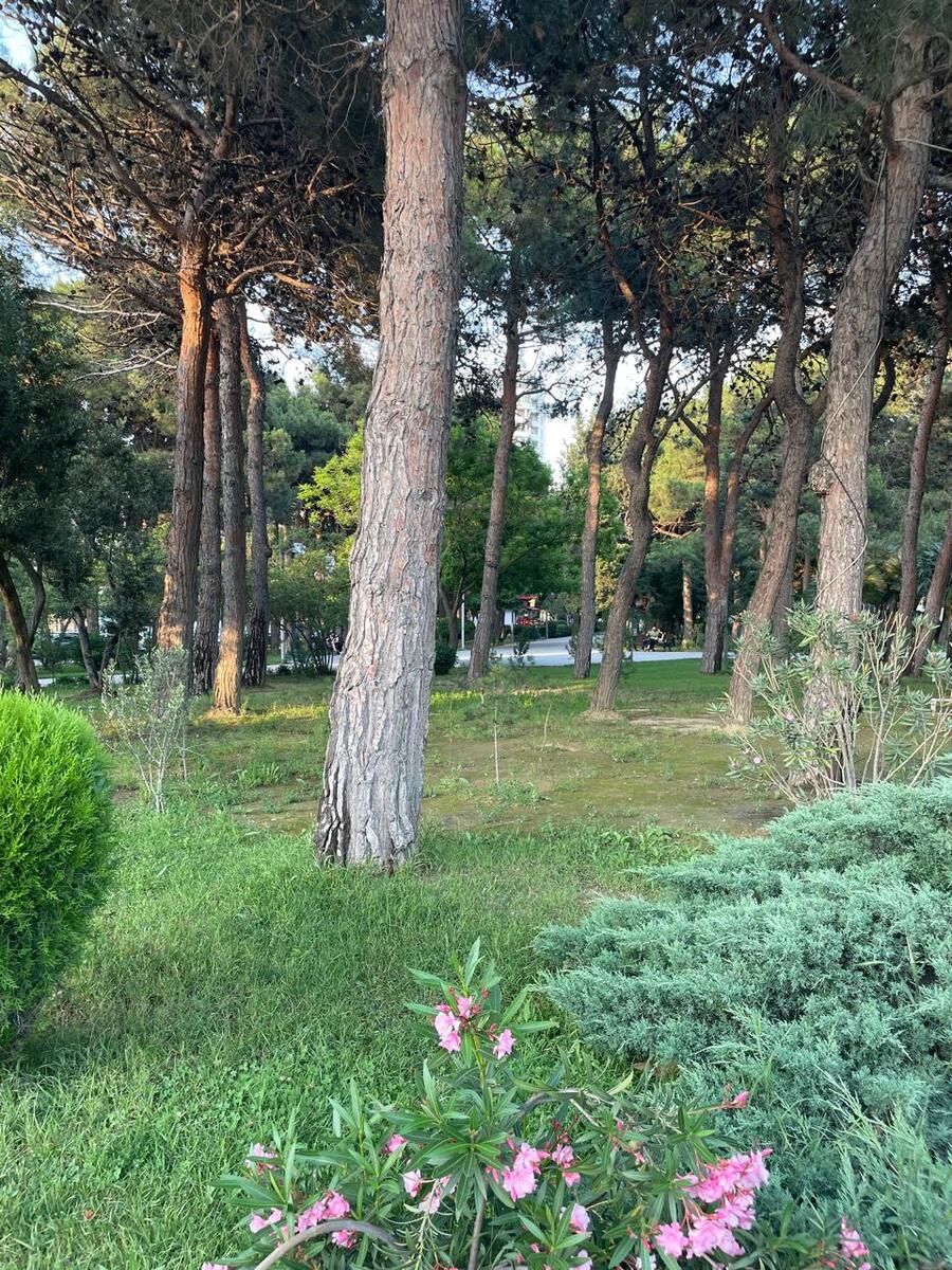 Satılır 2 otaqlı yeni tikili 95 m² — Mənzil, Bakı (4)