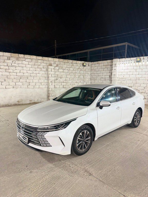 BYD Destroyer 05, 1.5 L, 18.3 kWh, 2024 il, 110 000 km — Avtomobillər, Bakı (6)