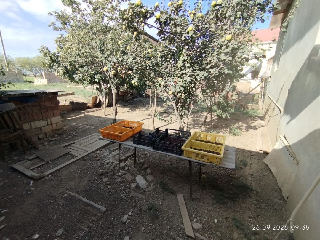 Həyət evi, Biləsuvar r — Ev, villa, Biləsuvar (5)