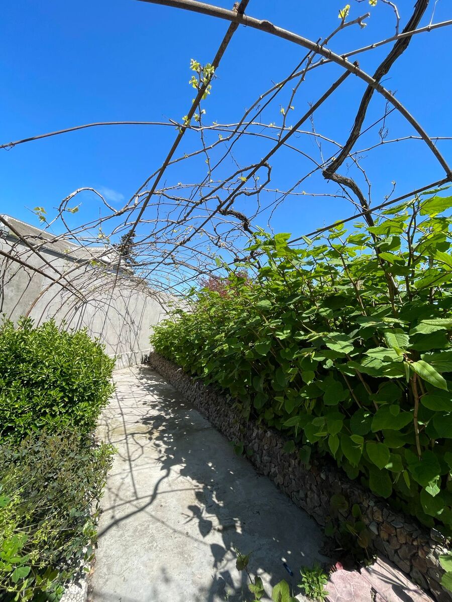 Satılır 5 otaqlı həyət evi/bağ evi 200 m² — Ev, villa, Bakı (5)