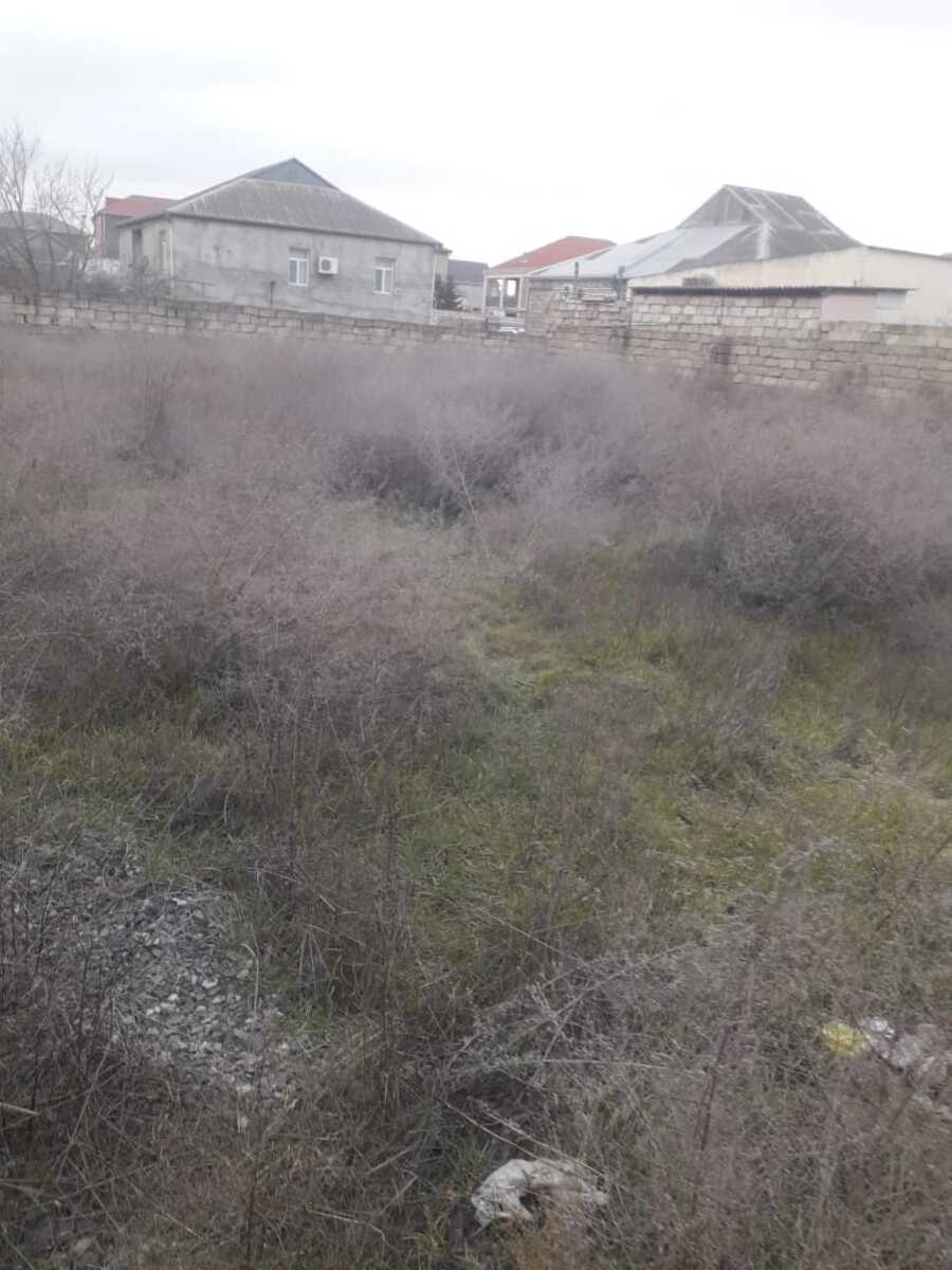 Satılır torpaq 8.4 sot — Torpaq, Bakı (4)