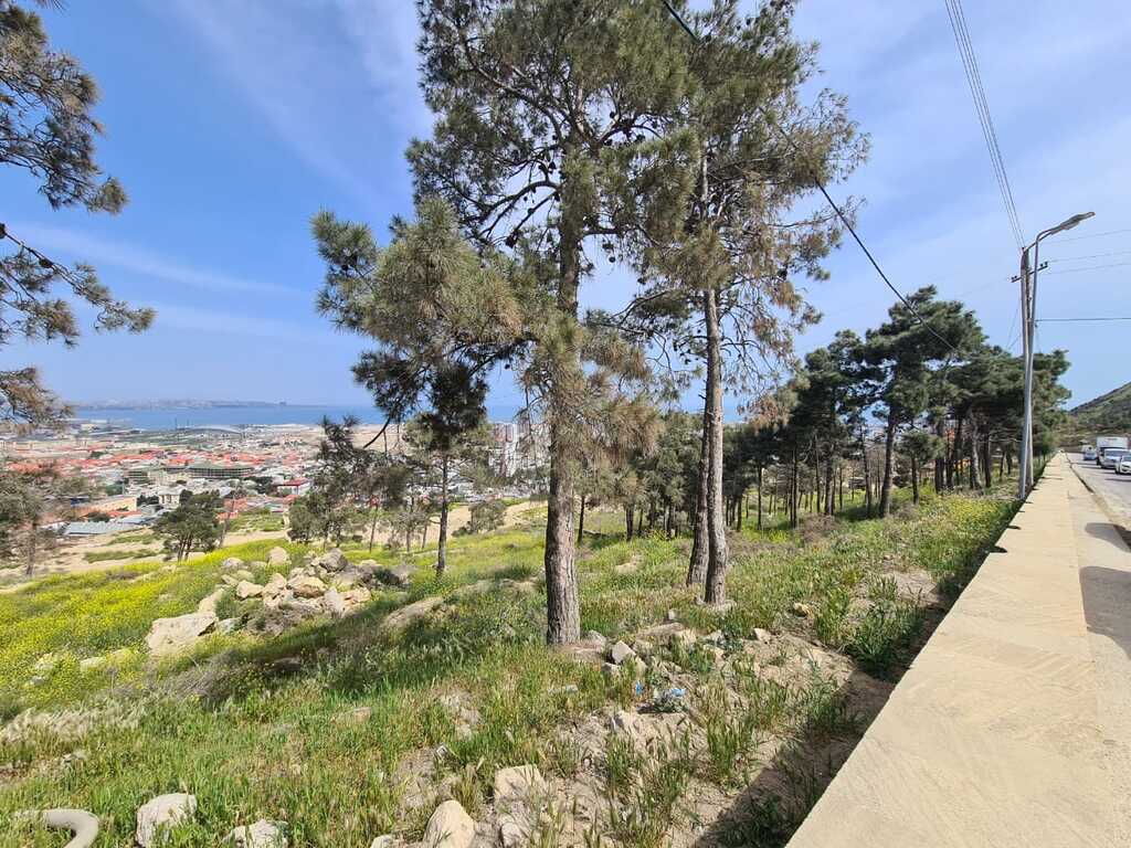 Satılır torpaq 36 sot — Torpaq, Bakı (7)
