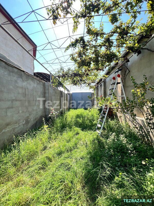 savalanda 4 sotda 4 otaqli 2 mertebeli ev satilir — Ev, villa, Bakı (6)