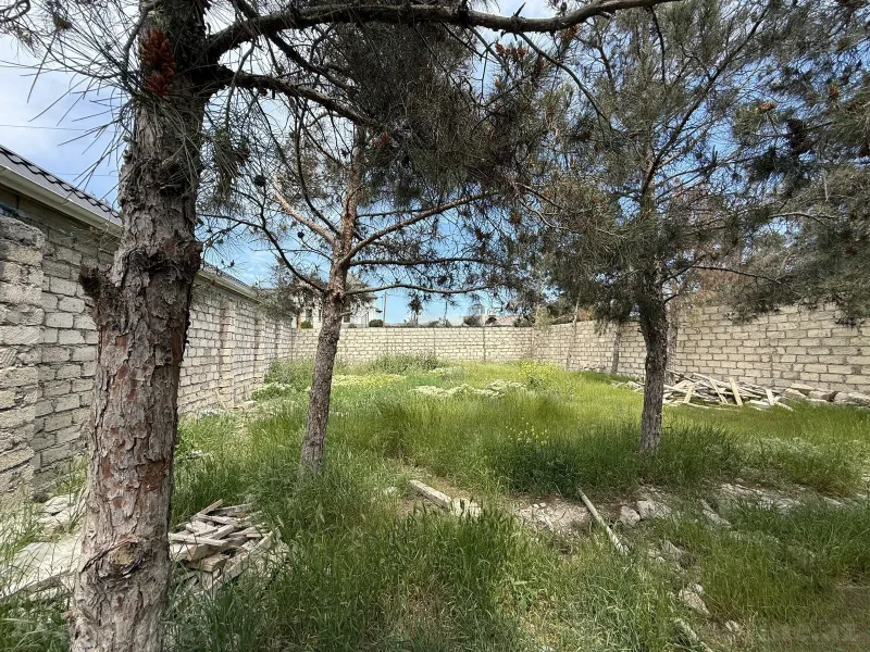 Satılır Torpaq 3 sot Bakı, Xəzər r., Mərdəkan — Torpaq, Bakı (8)