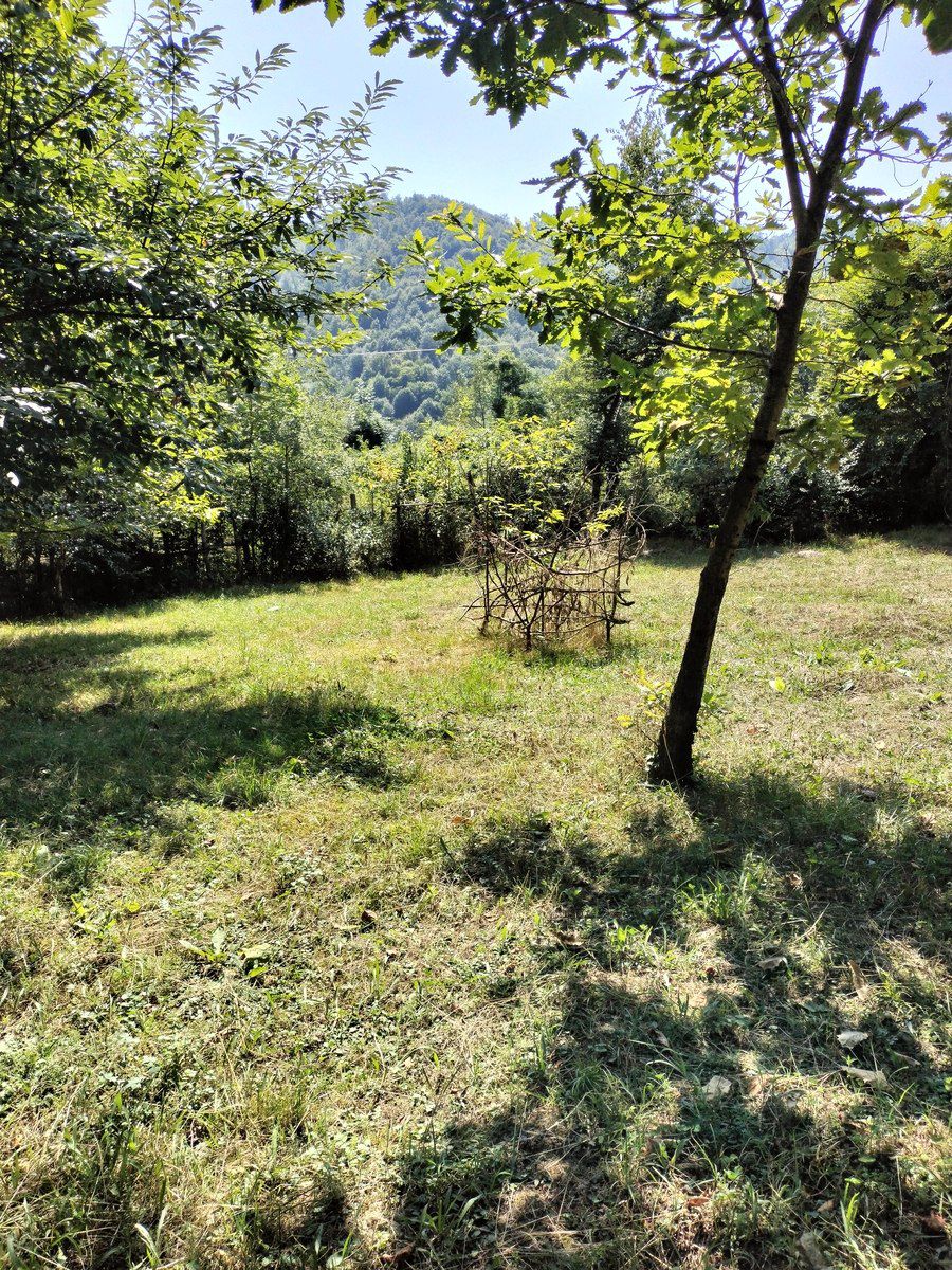 Satılır torpaq 60 sot — Torpaq, Qəbələ (4)