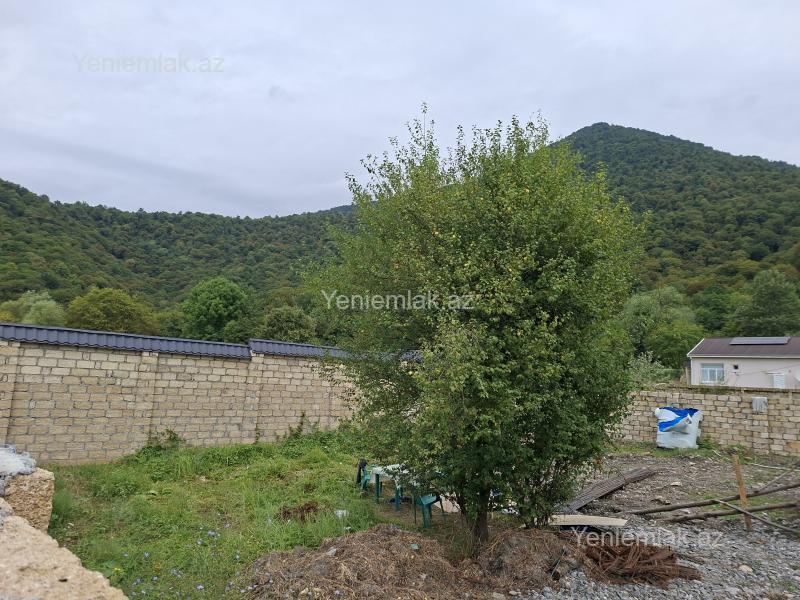 Satılır Torpaq sahəsi, 3 sot, Qəbələ — Torpaq, Qəbələ (3)