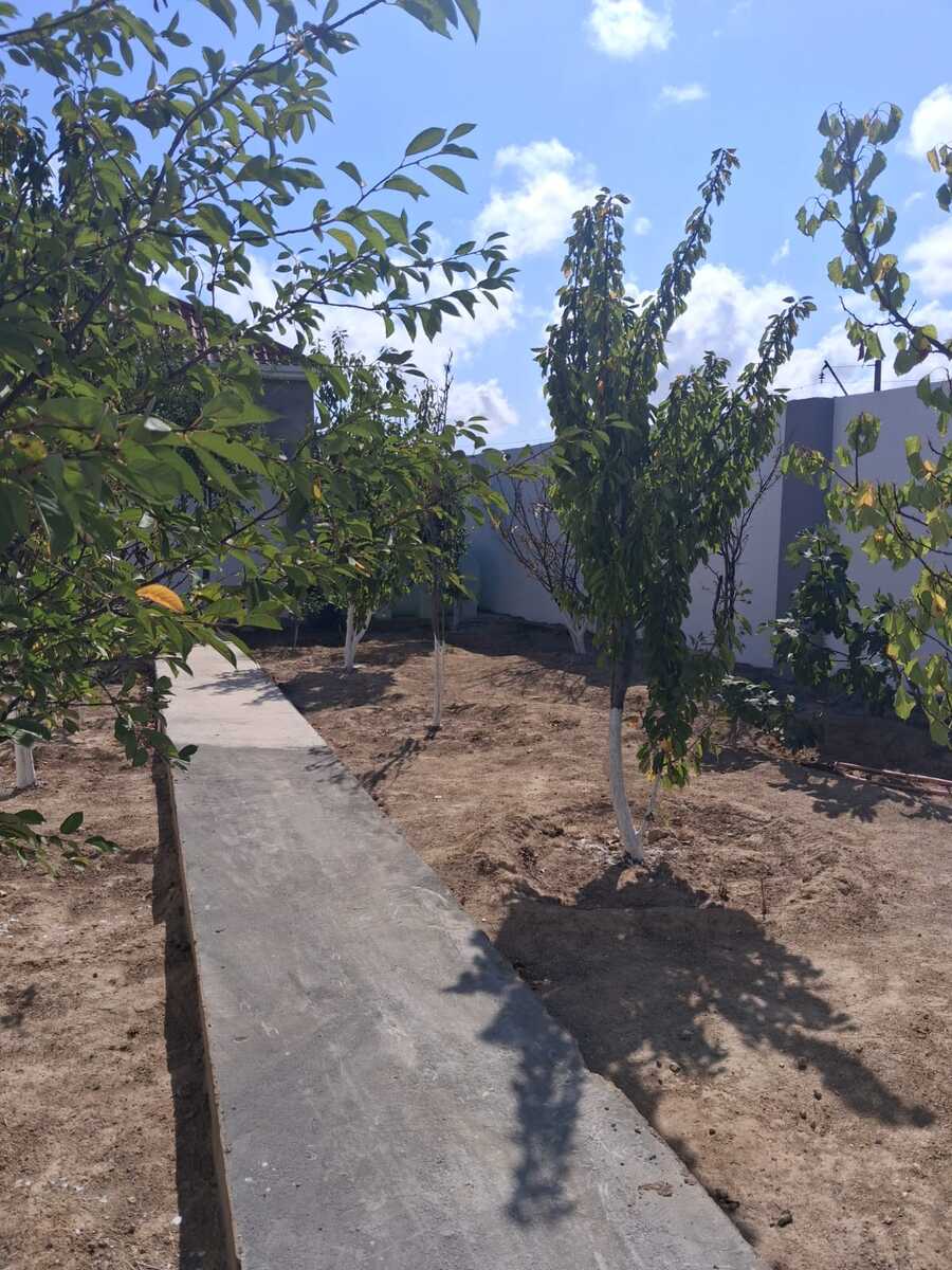 Satılır 4 otaqlı həyət evi/bağ evi 175 m² — Ev, villa, Bakı (4)