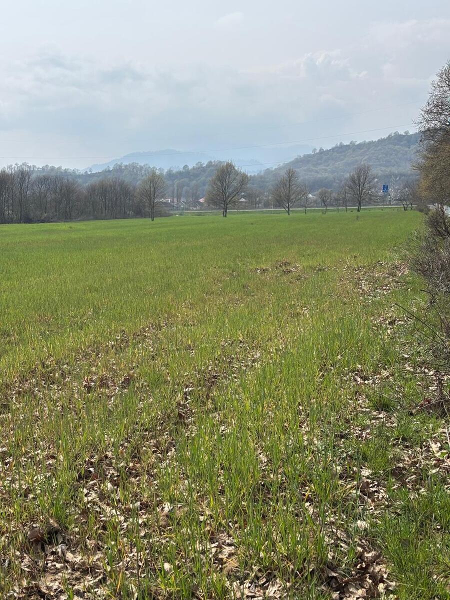 Satılır torpaq 420 sot — Torpaq, Lənkəran (7)