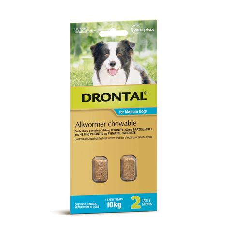 Drontal Plus 10 kq-a qədər itlər üçün ət ətirli antihelmintik, 1 Tablet — Bakı