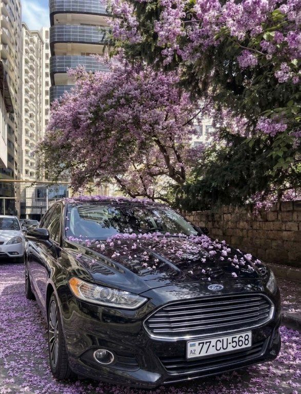 Ford Fusion (North America), 1.6 L, 2013 il, 223 000 km 77-CU-568 — Avtomobillər, Bakı (2)