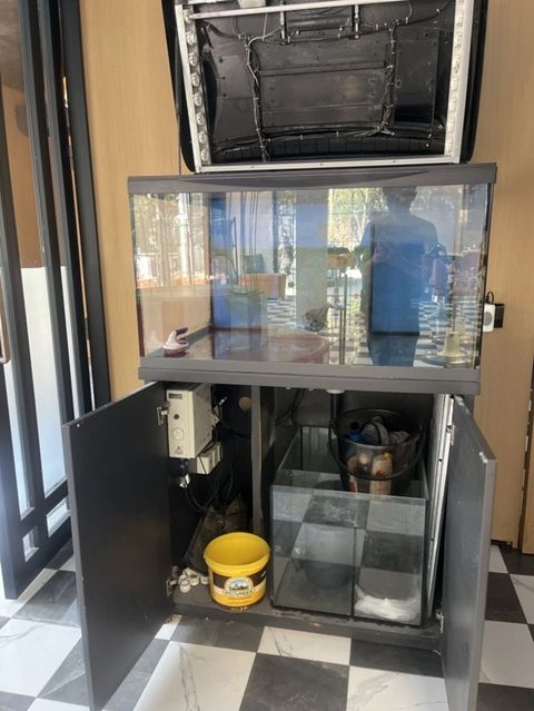 Böyük həcmli akvarium komplekti - Şüşə akvarium: geniş ön baxış — Bakı