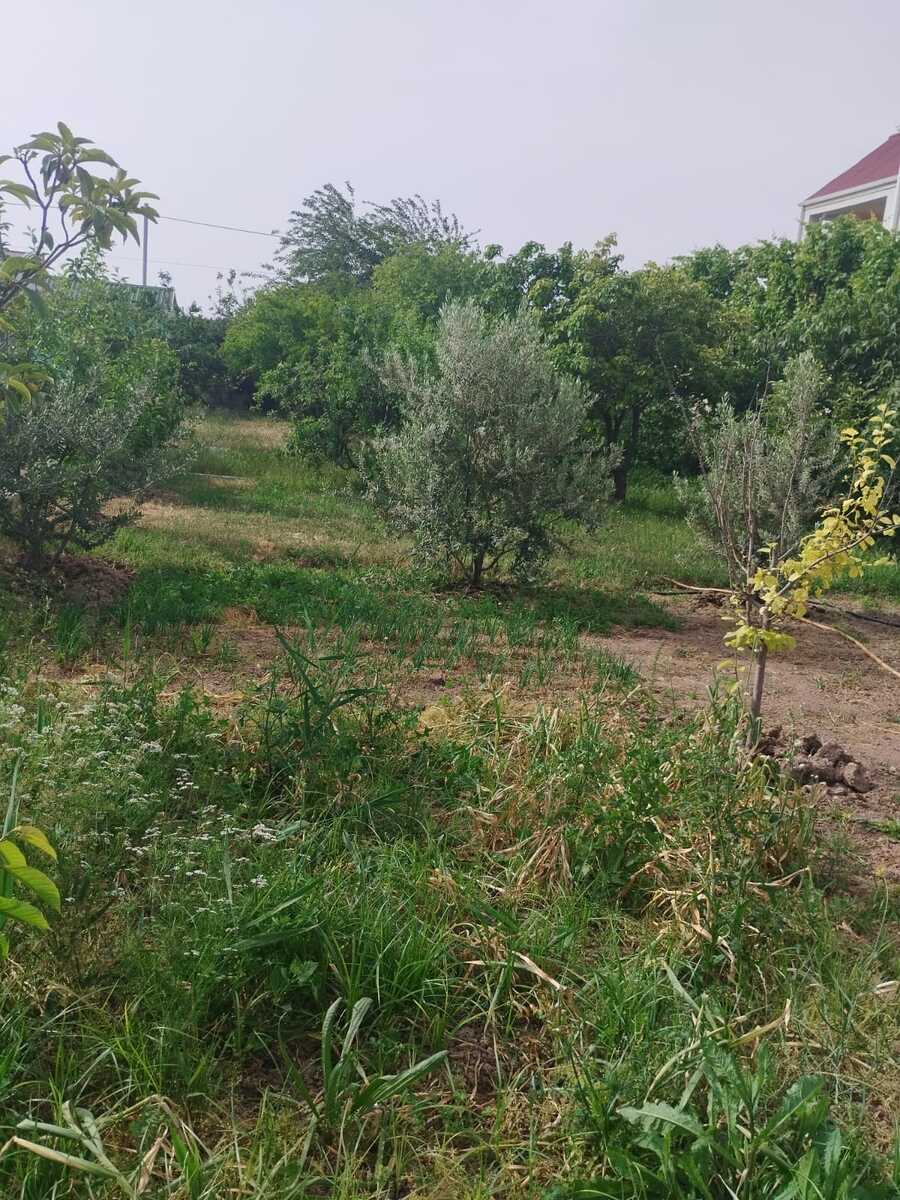 Satılır 5 otaqlı həyət evi/bağ evi 380 m² — Ev, villa, Xızı (5)
