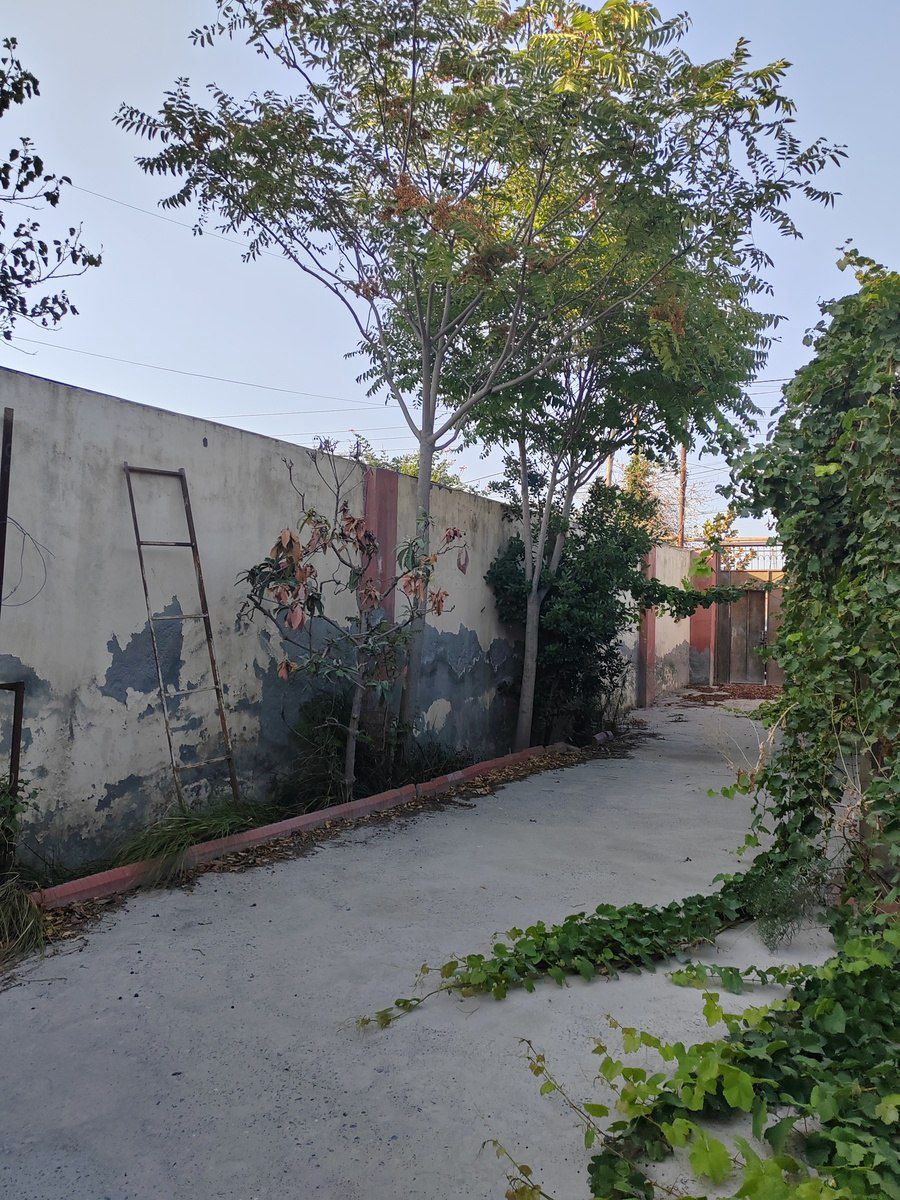 Satılır 3 otaqlı həyət evi/bağ evi 84 m² — Ev, villa, Bakı (4)