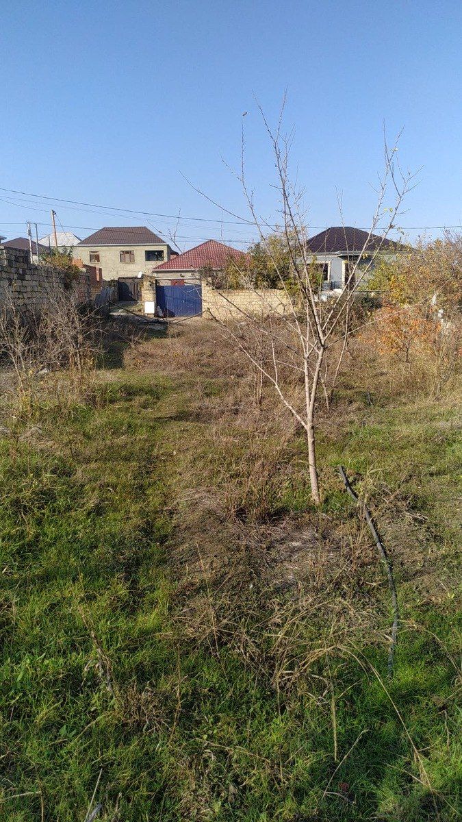 Satılır torpaq 5.5 sot — Torpaq, Bakı (2)