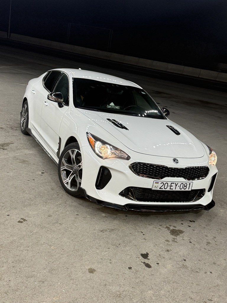 Kia Stinger, 2.0 L, 2020 il, 196 340 km 20-EY-081 — Avtomobillər, Ağdam (8)
