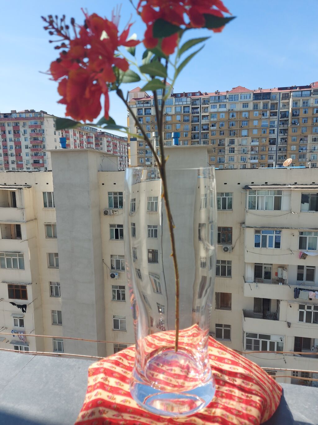 Bir vaza, Bogem şüşəsi — Vaazalar, kreslolar, süni çiçəklər, Bakı (4)
