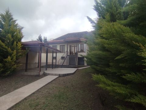 Həyət evi, Şəki ş — Şəki