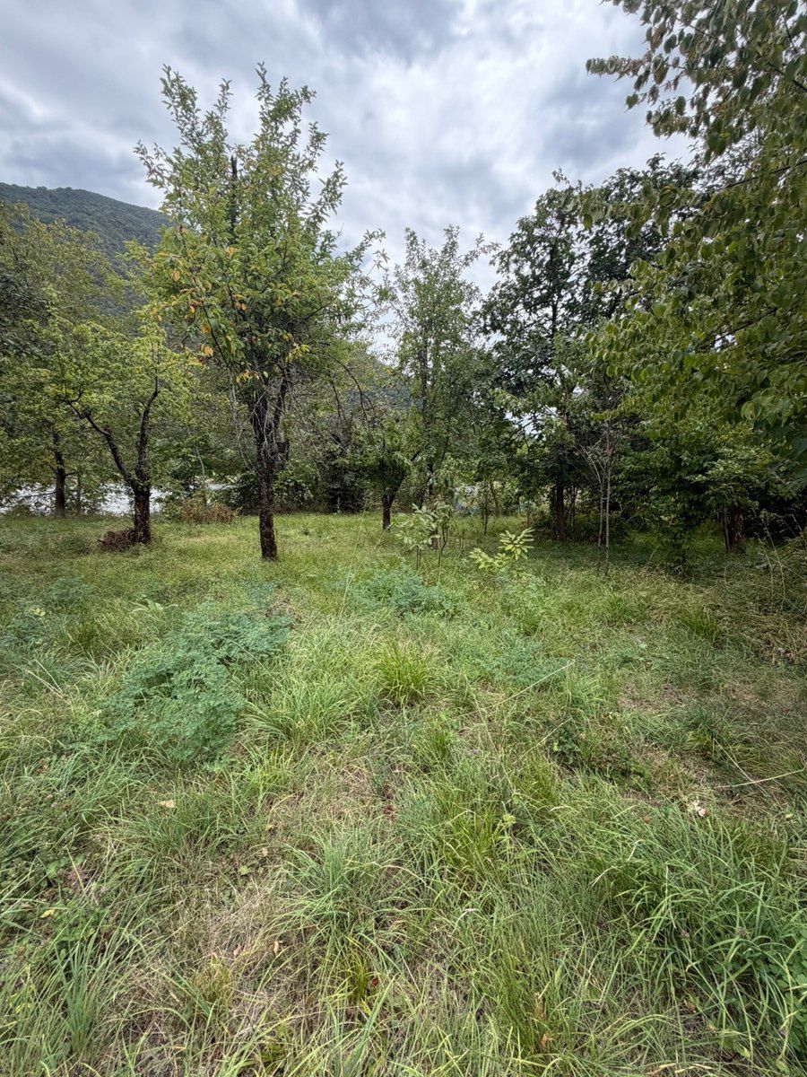 Həyət evi, Şəki ş — Ev, villa, Şəki (6)