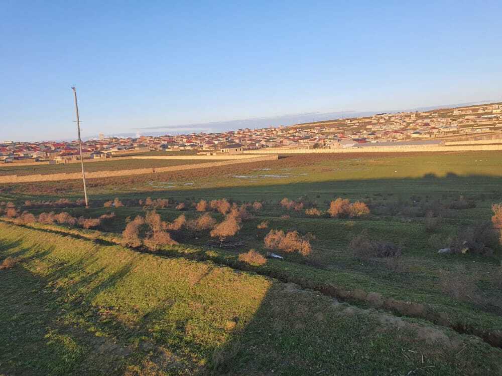 Satılır torpaq 3000 sot — Torpaq, Bakı (2)