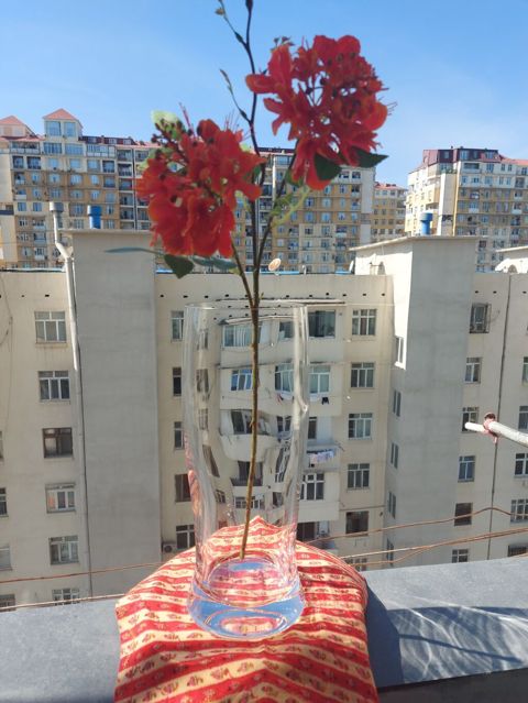 Bir vaza, Bogem şüşəsi — Bakı